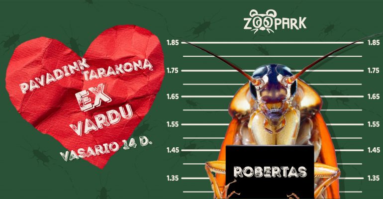 Zoologijos sodas „Zoopark“ kviečia į tarakonų ceremoniją – atsisveikinimą su buvusiuoju 
